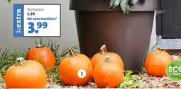 Intratuin Pompoen aanbieding