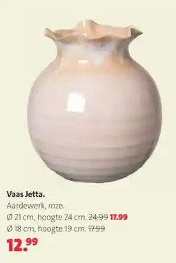 Intratuin Vaas Jetta aanbieding