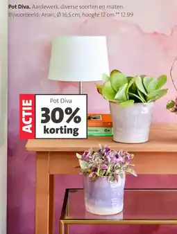 Intratuin Pot Diva aanbieding