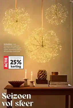 Intratuin Bal Dandelion aanbieding