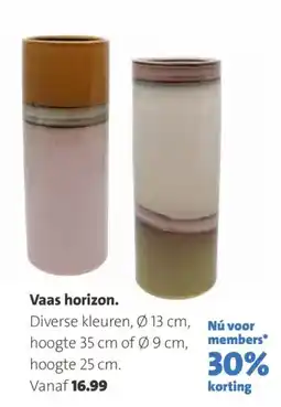 Intratuin Vaas horizon aanbieding