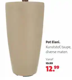 Intratuin Pot Elani aanbieding