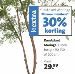 Intratuin Kunstplant Moringa aanbieding