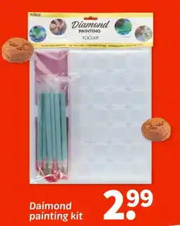 Wibra Diamond painting kit aanbieding