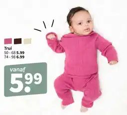 Wibra Trui aanbieding