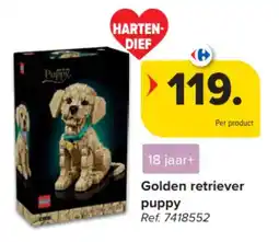 Carrefour Golden retriever puppy aanbieding