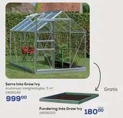 Supra Bazar Serre Into Grow Ivy aanbieding