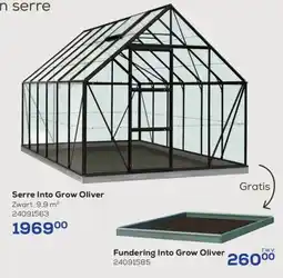 Supra Bazar Serre Into Grow Oliver aanbieding