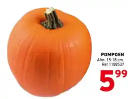 Trafic Pompoen aanbieding