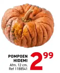 Trafic Pompoen hide mi aanbieding