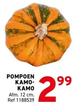 Trafic Pompoen kamo-kamo aanbieding