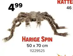 Euroshop Harige spin aanbieding