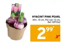 Trafic Hyacint pink pearl aanbieding