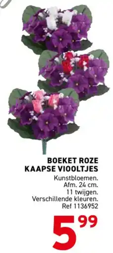 Trafic Boeket roze kaapse viooltjes aanbieding