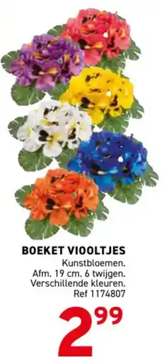 Trafic Boeket viooltjes aanbieding