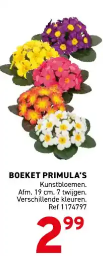 Trafic Boeket primula's aanbieding