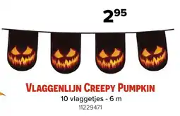 Euroshop Vlaggenlijn creepy pumpkin aanbieding