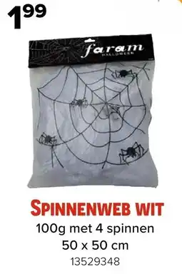 Euroshop Spinnenweb wit aanbieding