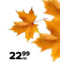 Euroshop blad aanbieding