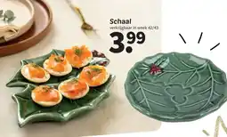Wibra Schaal aanbieding