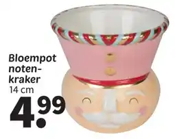 Wibra Bloempot notenkraker aanbieding
