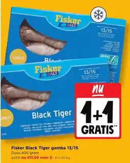 Jumbo Fisker black tiger gamba aanbieding