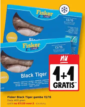 Fisker black tiger gamba