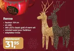 Van Cranenbroek Renne aanbieding