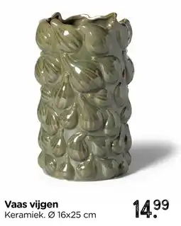 Xenos Vaas vijgen aanbieding