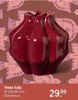 Xenos Vaas tulp aanbieding