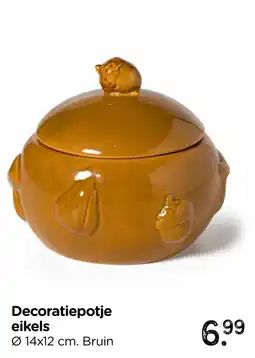 Xenos Decoratiepotje eikels aanbieding