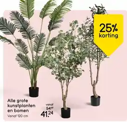 Leen Bakker Alle grote kunstplanten en bomen aanbieding