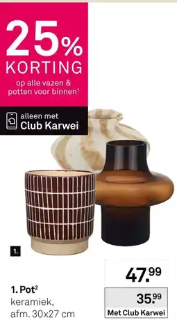 Karwei Pot aanbieding