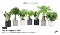 Karwei Easy to Care groene plant aanbieding