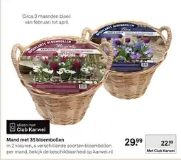 Karwei Mand met 35 bloembollen aanbieding