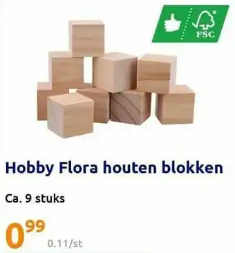 Action Hobby flora houten blokken aanbieding