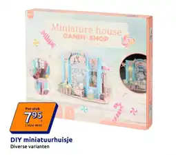 Action DIY miniatuurhuisje aanbieding