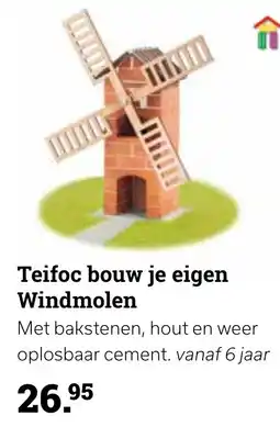 Europoint Teifoc bouw je eigen Windmolen aanbieding
