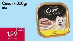 Peltri Cesar classic aanbieding
