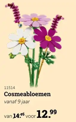 Europoint Cosmeabloemen aanbieding