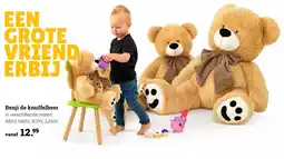 Europoint Benji de knuffelbeer aanbieding