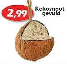 Kokosnoot Gevuld