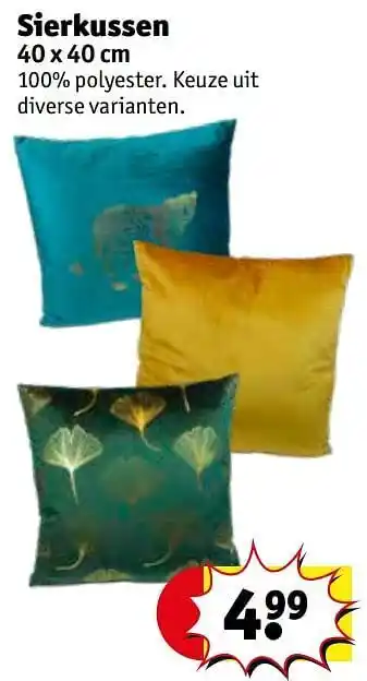 Kruidvat Sierkussen 40x40cm aanbieding