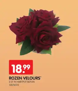 Yess Rozen velours aanbieding