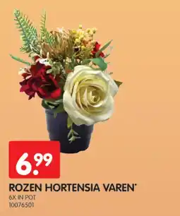 Yess rozen hortensia varen aanbieding