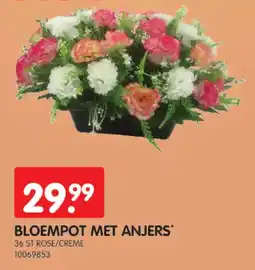Yess Bloempot met anjers aanbieding