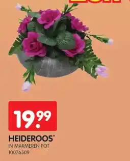 Yess Heideroos in marmeren pot aanbieding