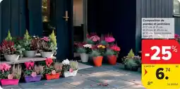 Carrefour Composition de plantes et jardinière aanbieding