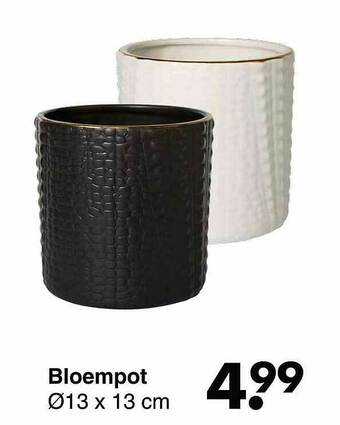 Bloempot