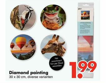 Wibra Diamond Painting aanbieding
